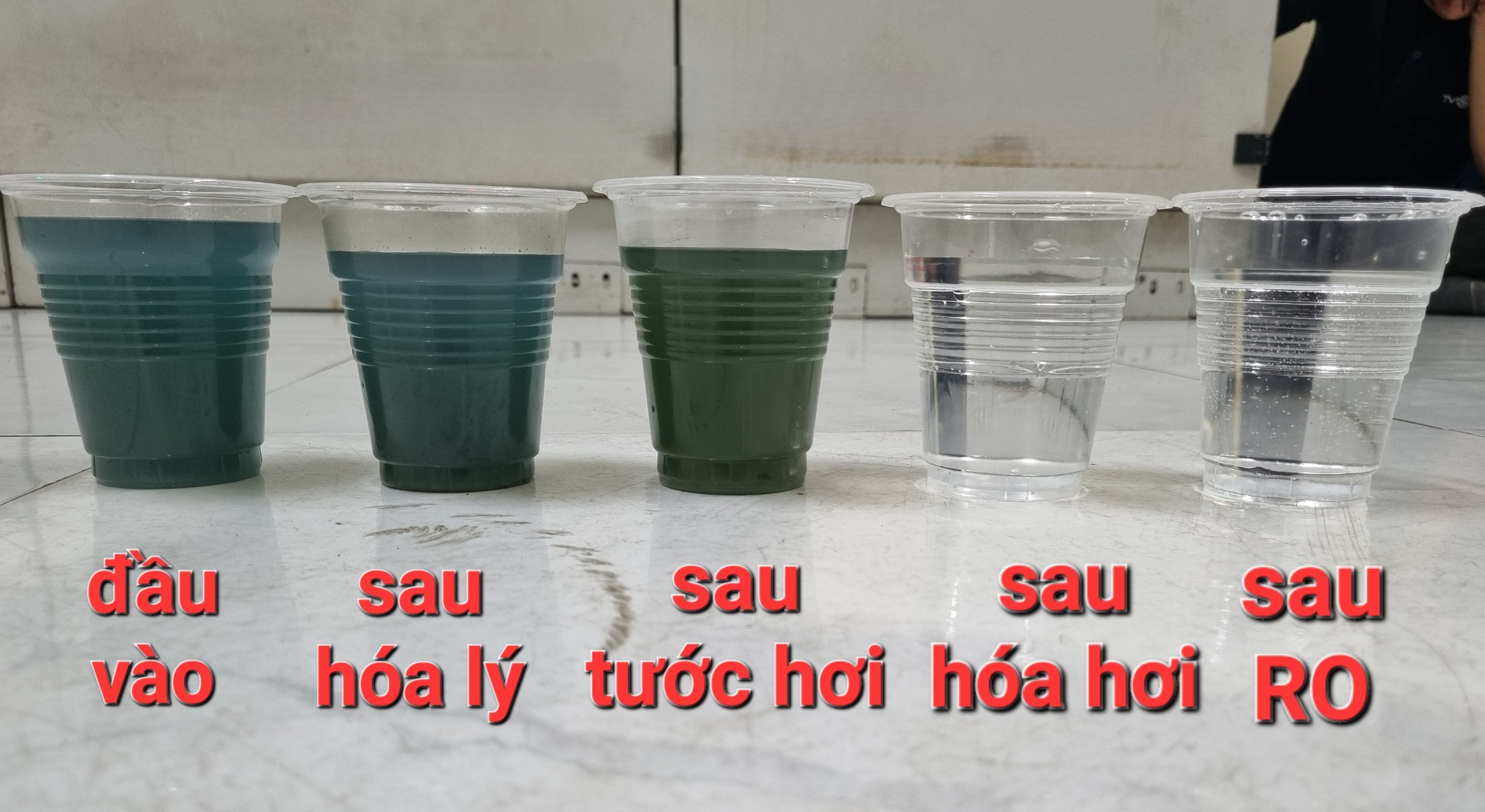 Thiết Bị Bay Hơi Pilot – kết quả Chạy Thử Nghiệm Thực Tế tại Nhà Máy